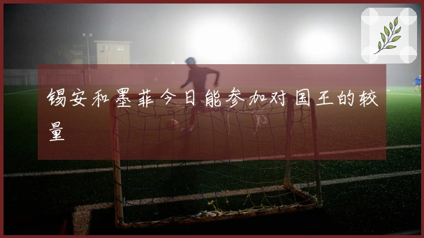 锡安和墨菲今日能参加对国王的较量