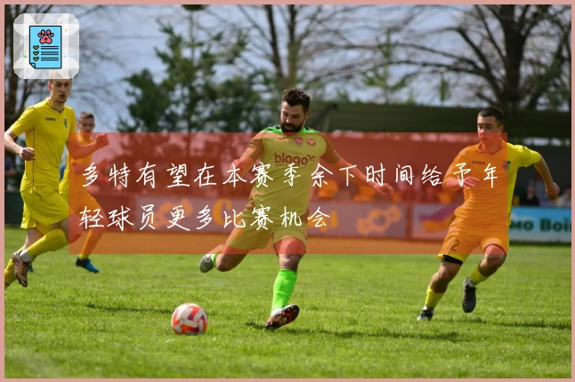 多特有望在本赛季余下时间给予年轻球员更多比赛机会
