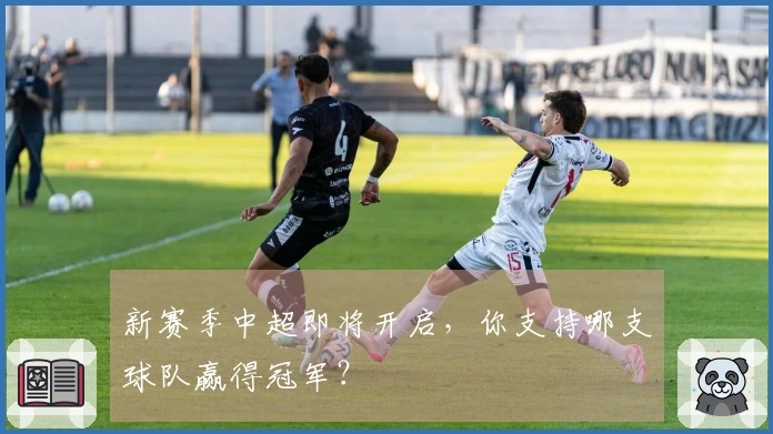 新赛季中超即将开启，你支持哪支球队赢得冠军？