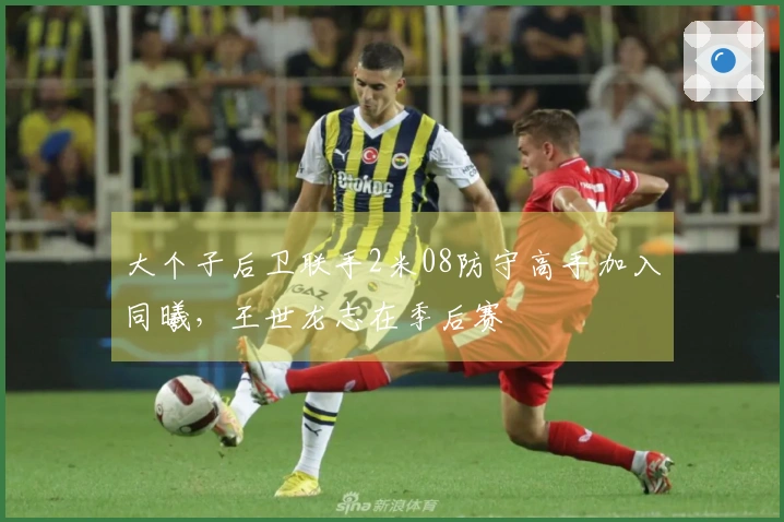 大个子后卫联手2米08防守高手加入同曦，王世龙志在季后赛